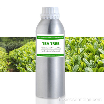 Huile essentielle d&#39;arbre à thé 100% pure de marque privée en vrac